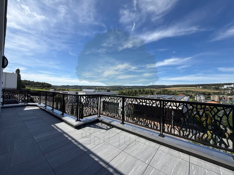 Magnifique appartement de standing de 4,5 pièces avec terrasse, jardin (8)
