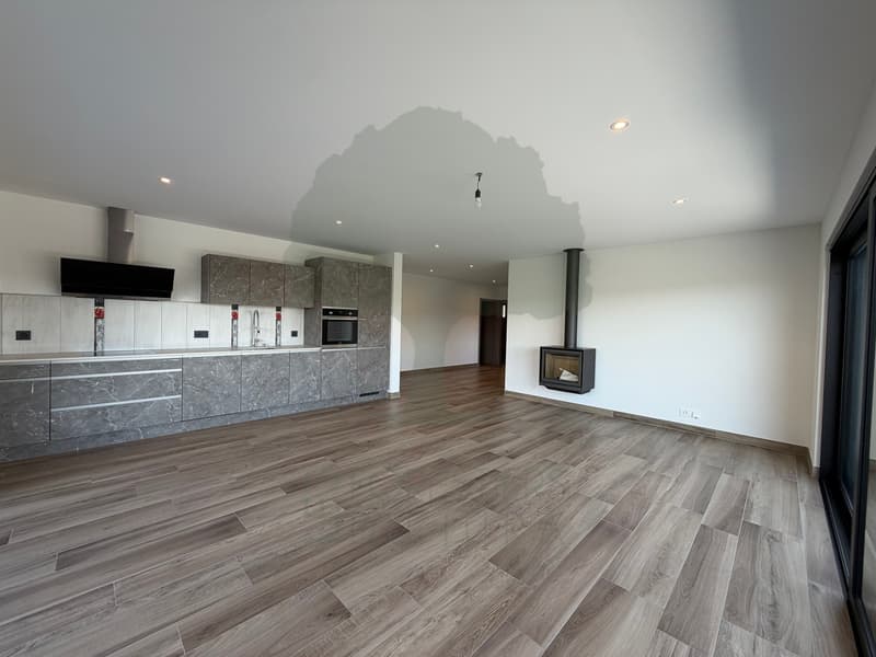 Magnifique appartement de standing de 4,5 pièces avec terrasse, jardin (3)