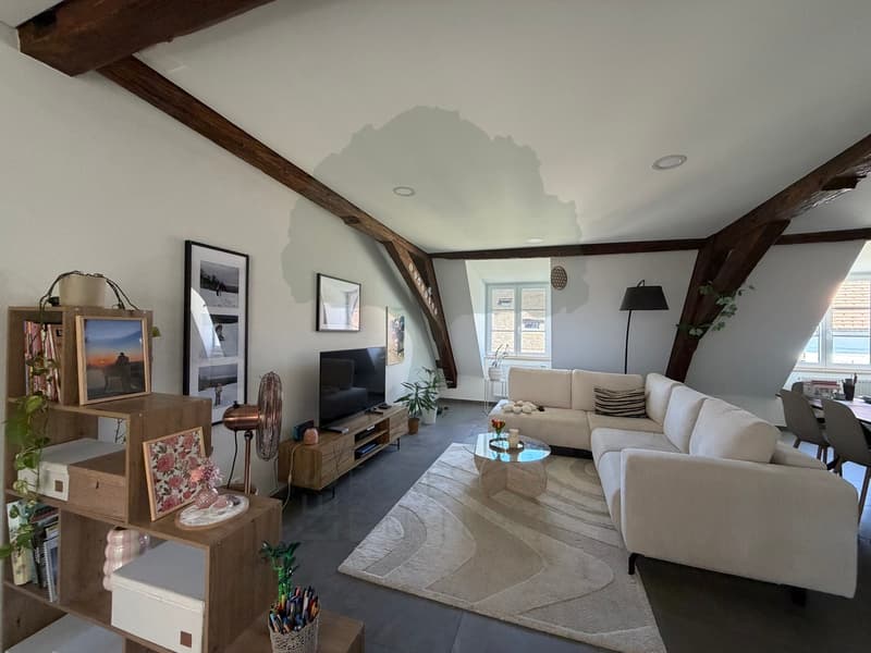 Appartement 2,5 pièces rénové avec terrasse au coeur de Porrentruy (4)