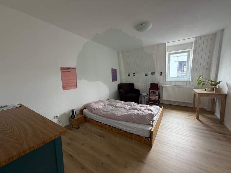 Spacieux 5,5 pièces en duplex entièrement rénové à Delémont (3)