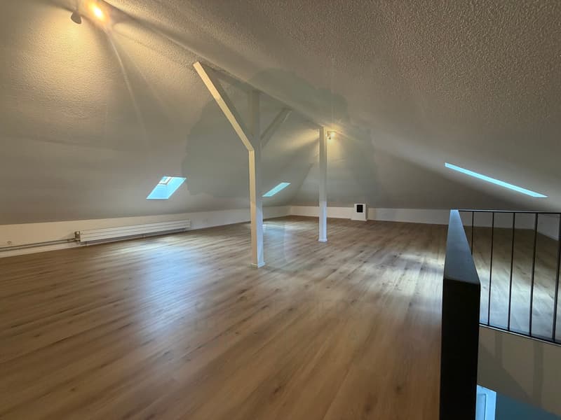 Spacieux 5,5 pièces en duplex entièrement rénové à Delémont (8)
