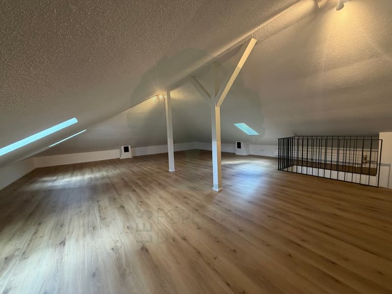 Spacieux 5,5 pièces en duplex entièrement rénové à Delémont (10)