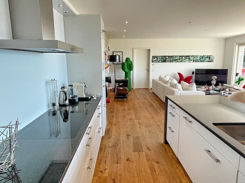 La Croix-sur-Lutry Magnifique appartement en terrasse avec piscine privée (7)