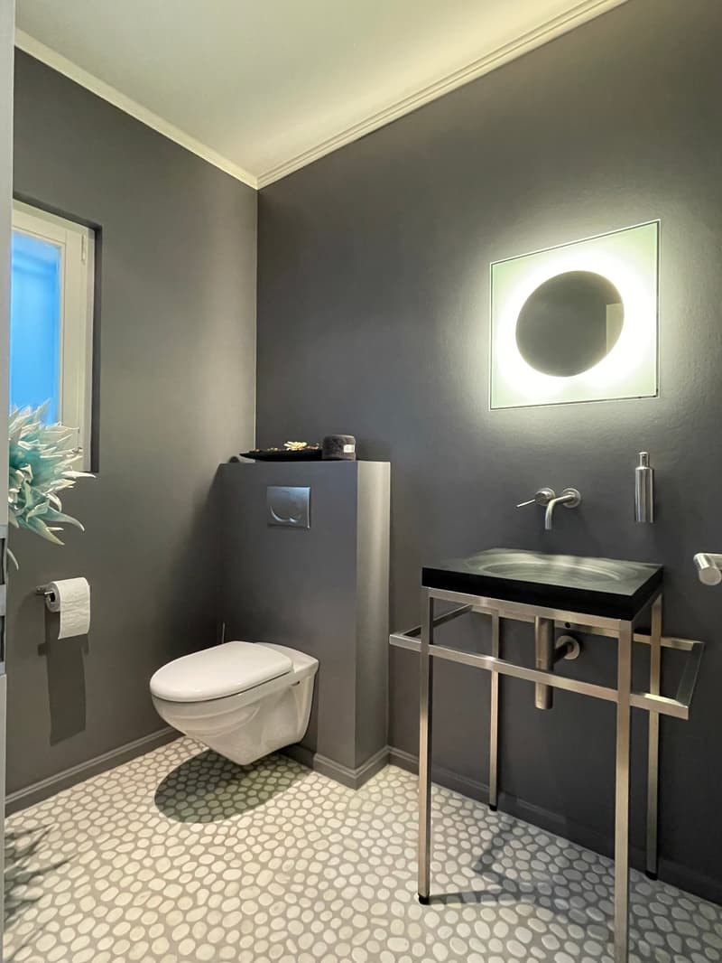 La Croix-sur-Lutry Magnifique appartement en terrasse avec piscine privée (9)