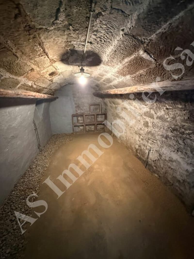 Exceptional situation close to all amenities (13)