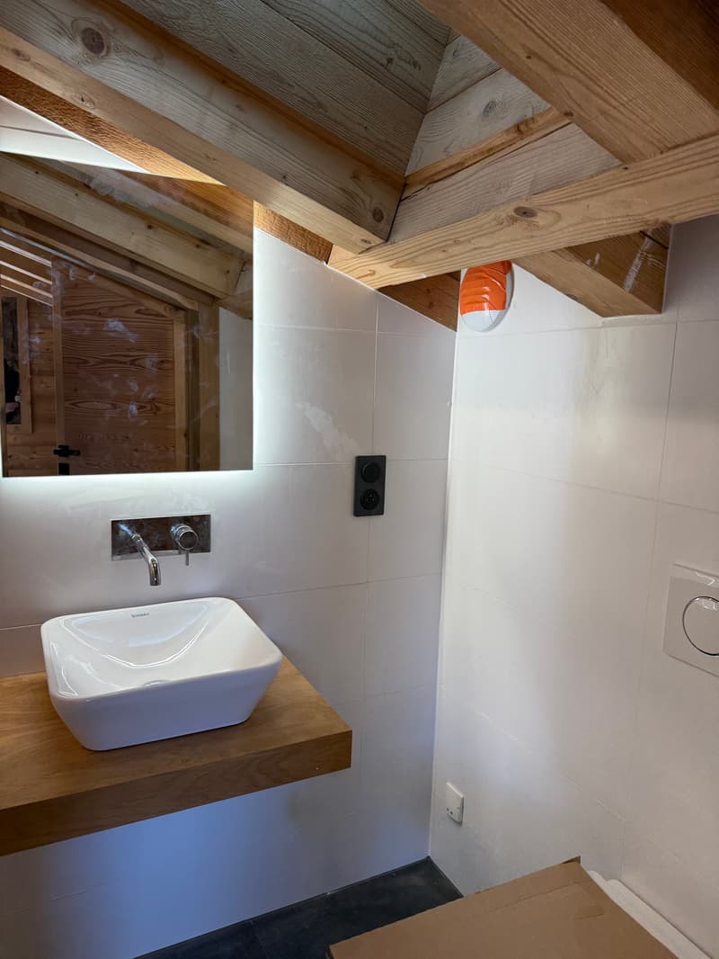 Apartment in a chalet (8)
