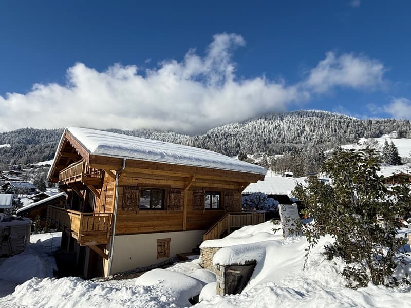 Apartment in a chalet (1)