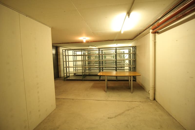 GRAND DEPOT DE 85m2 AU SOUS- SOL - Eaux Vives (2)
