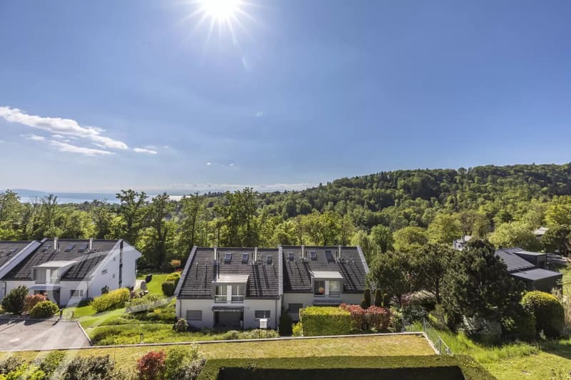 Twin Villa in an Enchanting Setting in Belmont-sur-Lausanne (13)
