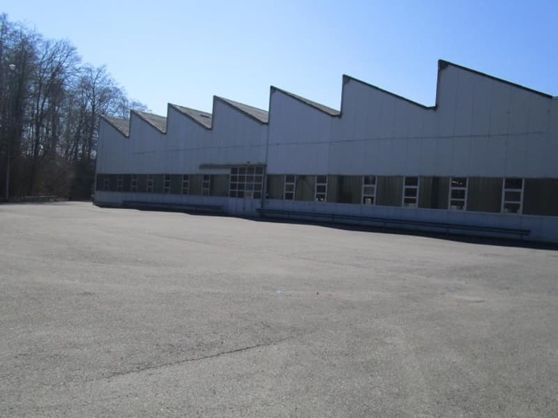 Industrial hall with administrative offices and building land (2)
