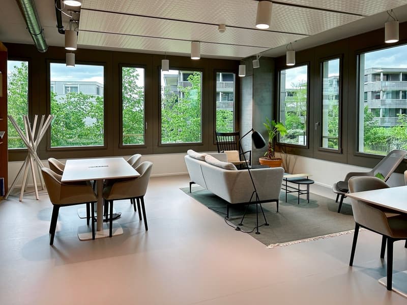 Bright living room with large windows, modern furniture, gray couch, small table, desk lamp, potted plant, beige carpet, suspended ceiling lights, wooden tables, and modern chairs.