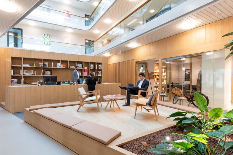 Reception area with a counter, shelves, chairs, a table, wooden flooring, plants, glass windows, and a bicycle