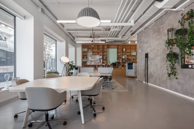 Open concept office space with white walls, exposed ceiling, large windows, wooden shelving unit, conference table with chairs, and a plant decoration.