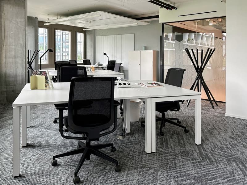 modern office, white desks, black swivel chairs, white cabinets, glass doors, fluorescent ceiling lights, window views