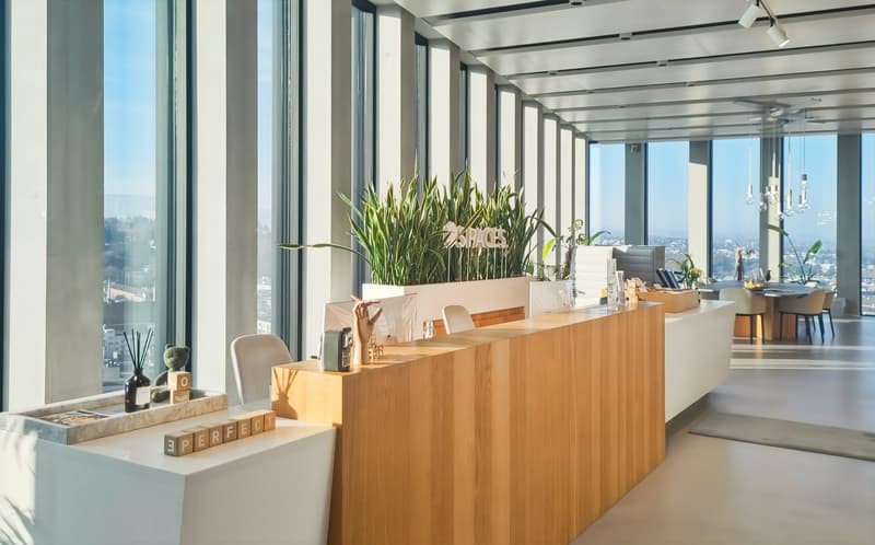 Travaillez, tenez des réunions et promouvez la collaboration dans des bureaux à Spaces Grosspeter Tower (5)