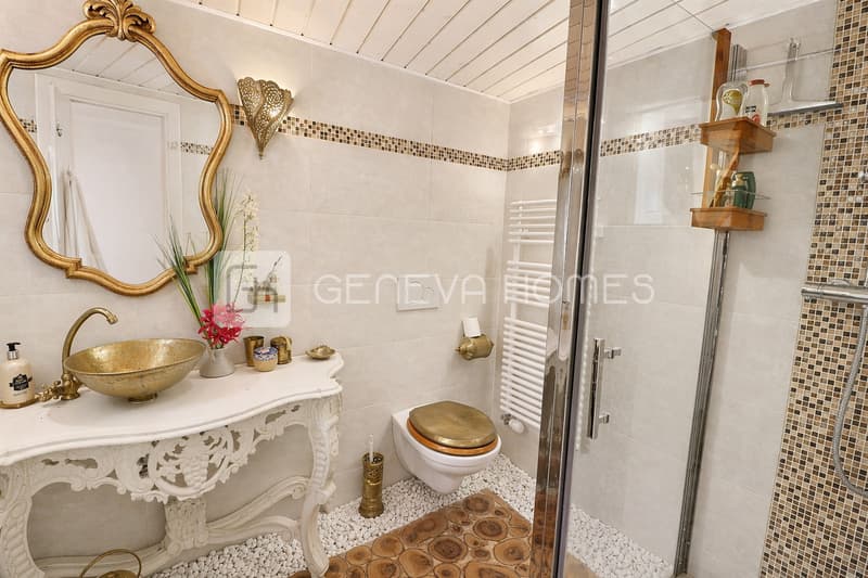 Maison atypique pleine de charme à Chêne-Bougeries (11)