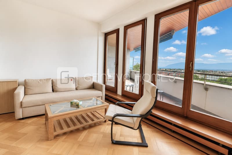 Lumineux appartement avec vue dégagée (4)