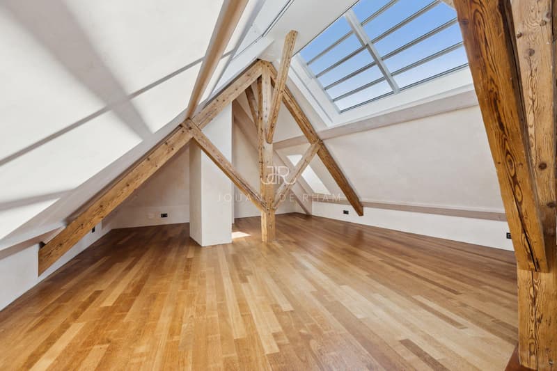 Duplex en attique - 1.5p spacieux avec cachet (6)