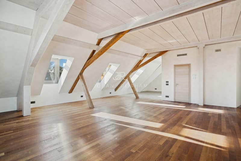 Duplex en attique - 2.5p spacieux avec cachet (2)