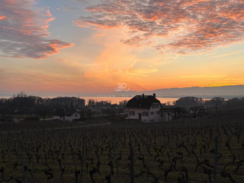 House with charm in the vineyards (8)