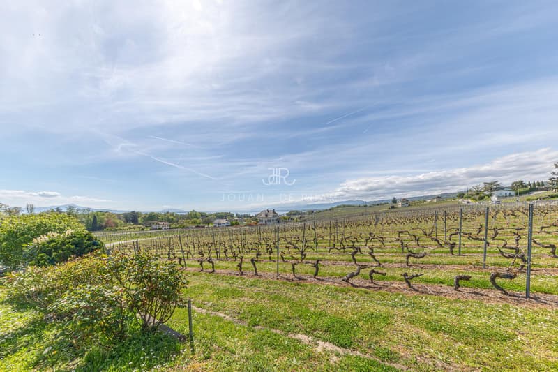 House with charm in the vineyards (9)