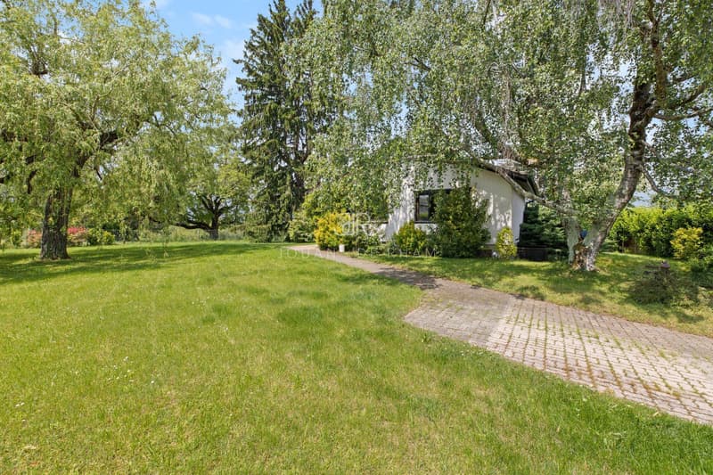 AVULLY: Meravigliosa casa ristrutturata con vista (2)