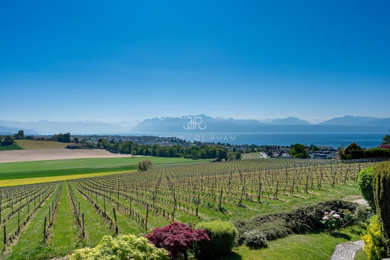 Village House with Lake and Mont Blanc View (2)