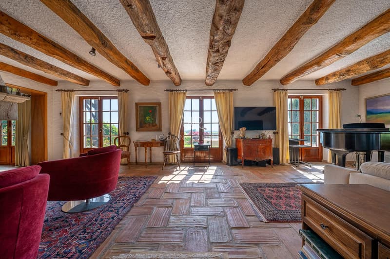 Village House with Lake and Mont Blanc View (6)