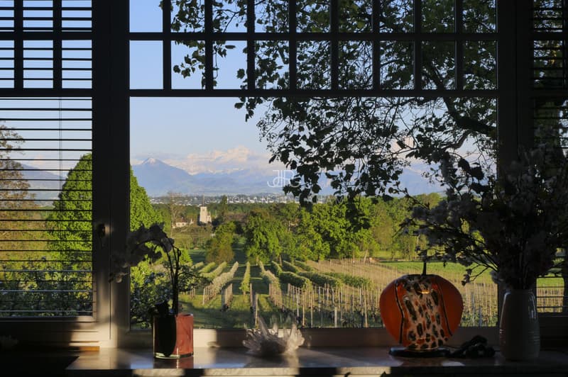 Beautiful renovated chalet (2)