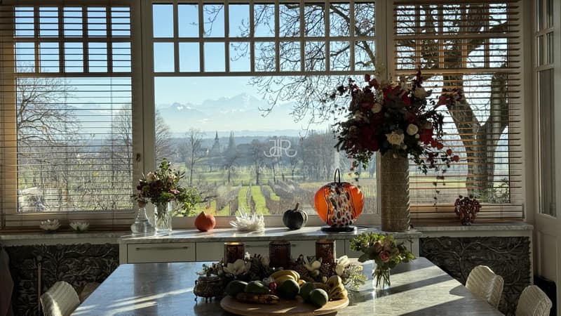 Beautiful renovated chalet (12)
