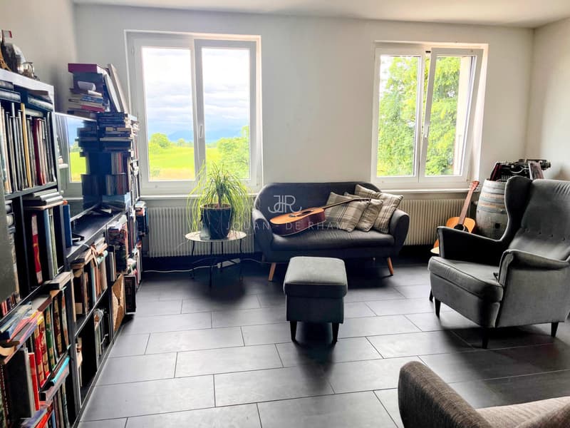 Grande appartamento con vista lago e 4 camere in affitto a Chataigneriaz (4)