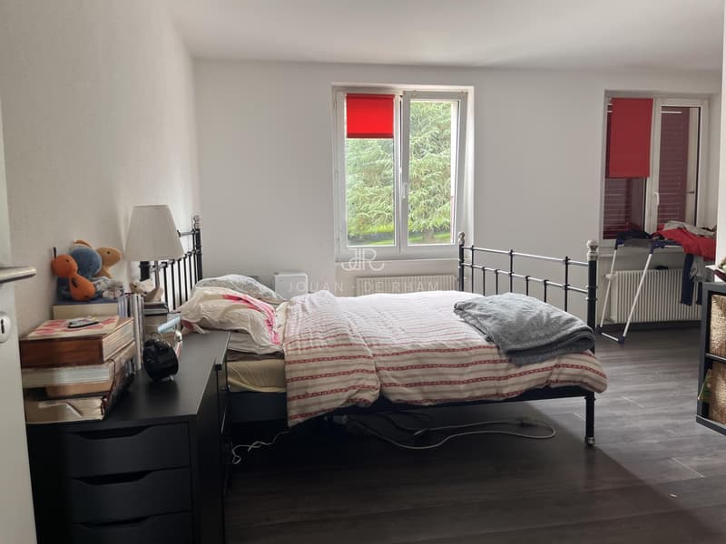 Grande appartamento con vista lago e 4 camere in affitto a Chataigneriaz (10)