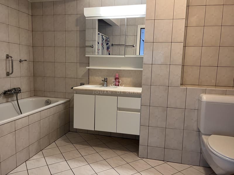 Grande appartamento con vista lago e 4 camere in affitto a Chataigneriaz (8)