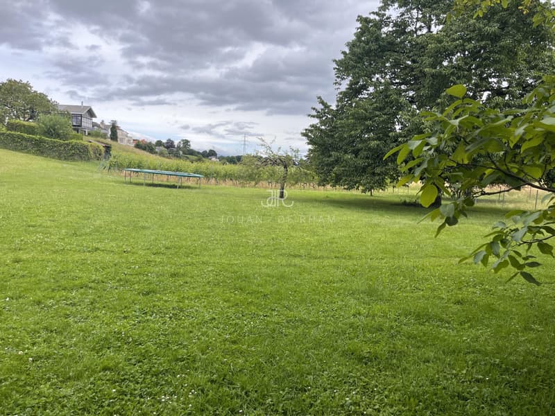 Grande appartamento con vista lago e 4 camere in affitto a Chataigneriaz (12)