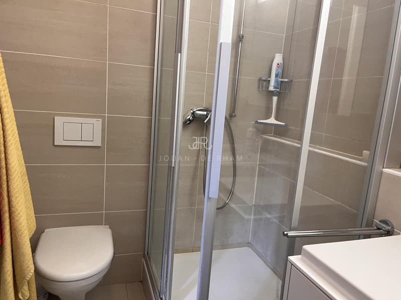 Grande appartamento con vista lago e 4 camere in affitto a Chataigneriaz (7)