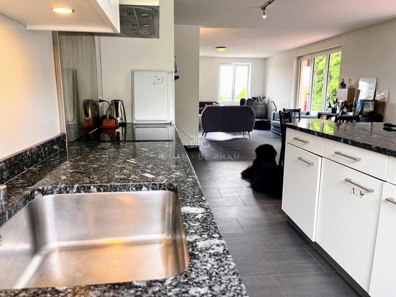 Grande appartamento con vista lago e 4 camere in affitto a Chataigneriaz (3)