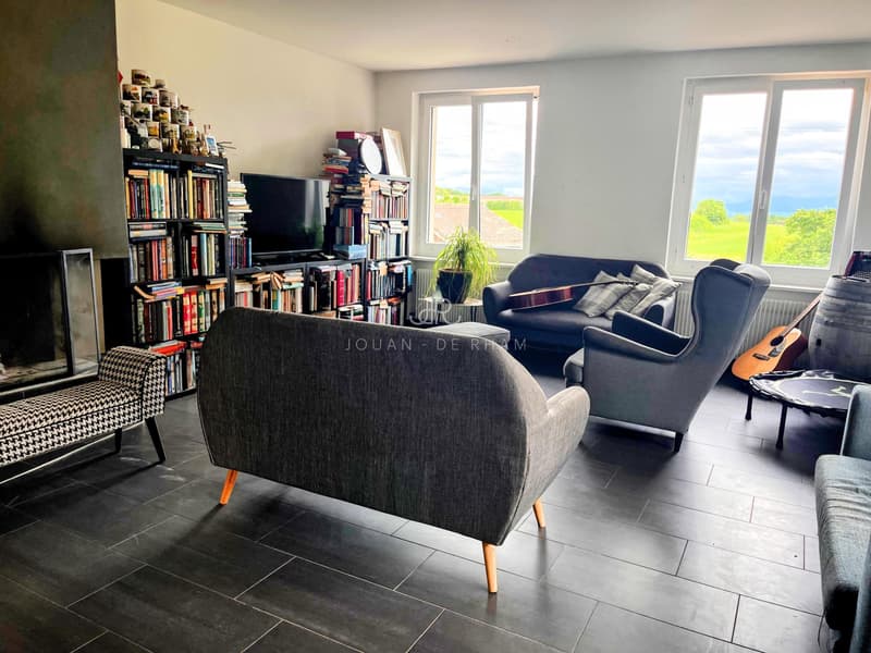 Grande appartamento con vista lago e 4 camere in affitto a Chataigneriaz (2)