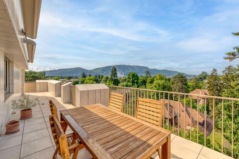 COLOGNY: Appartement de 4 pièces en attique avec vue imprenable vendu en SI (1)