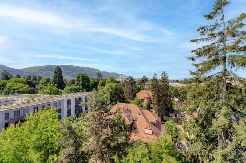 COLOGNY: Appartement de 4 pièces en attique avec vue imprenable vendu en SI (10)