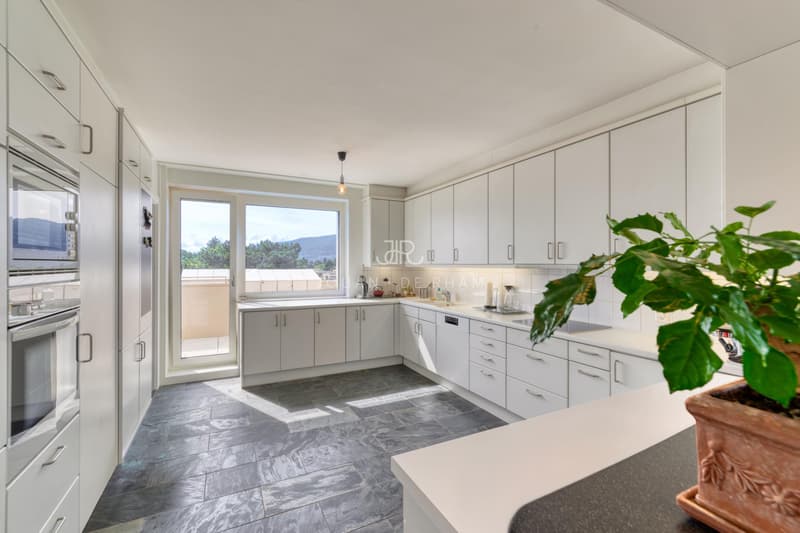 COLOGNY: Appartement de 4 pièces en attique avec vue imprenable vendu en SI (4)