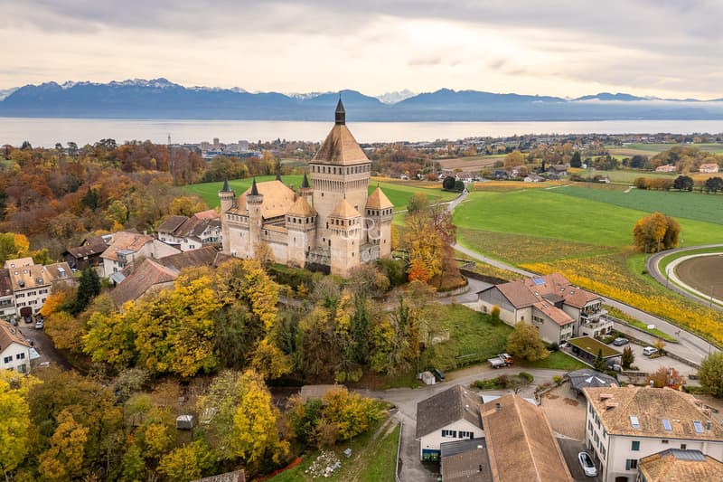 Magnifique villa vaudoise rénovée avec vue dégagée (1)