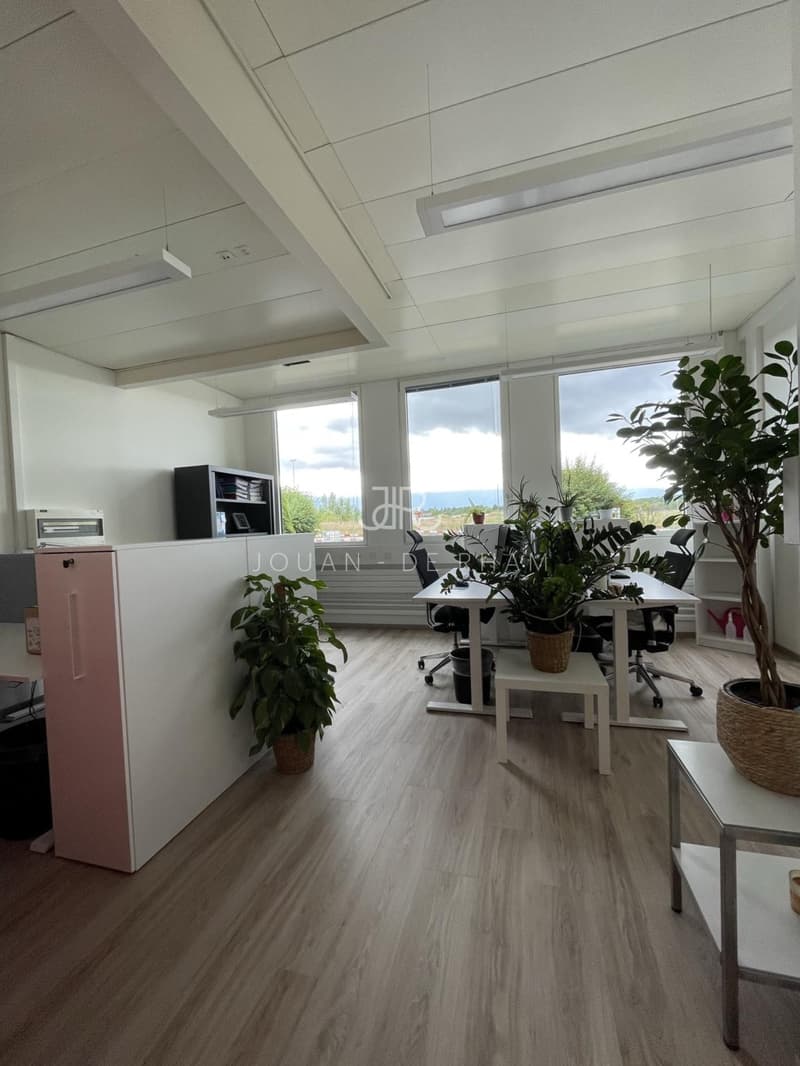 Plan-les-Ouates | Biologische Laboratorien und Büros komplett eingerichtet - 526 m² (1)