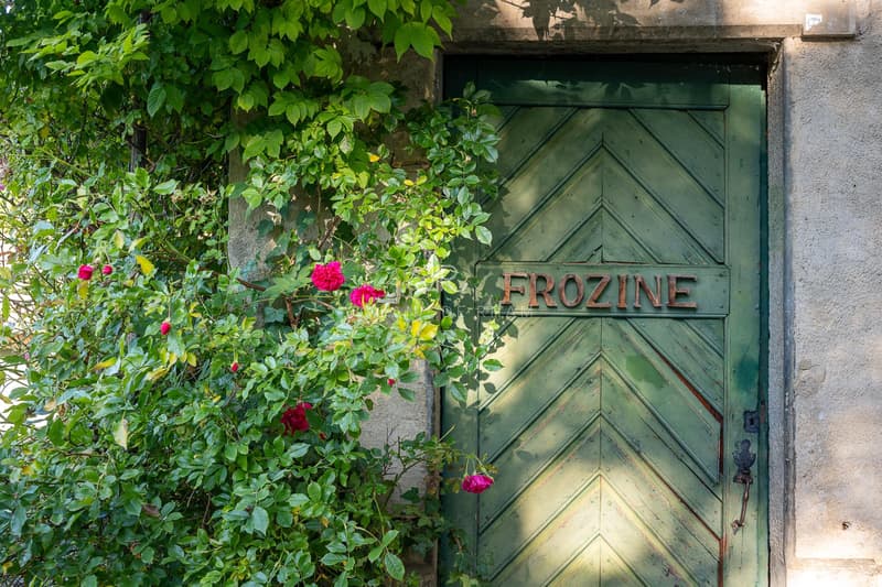 Essertines-sur-Rolle | Maison de charme et son annexe en zone village (1)