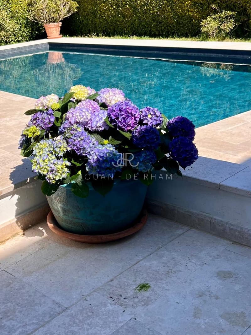 OFF MARKET - Maison familiale Founex (2)