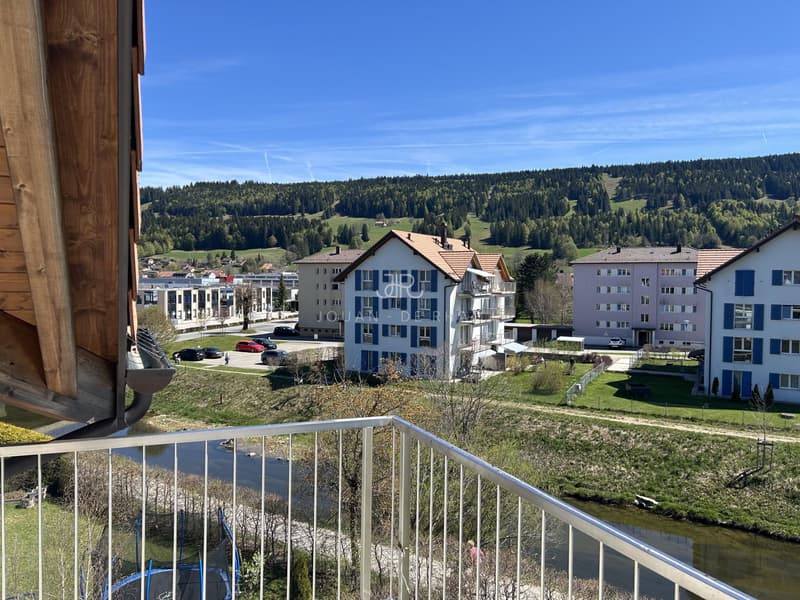Bel appartement haut standing - Duplex en Attique (3)