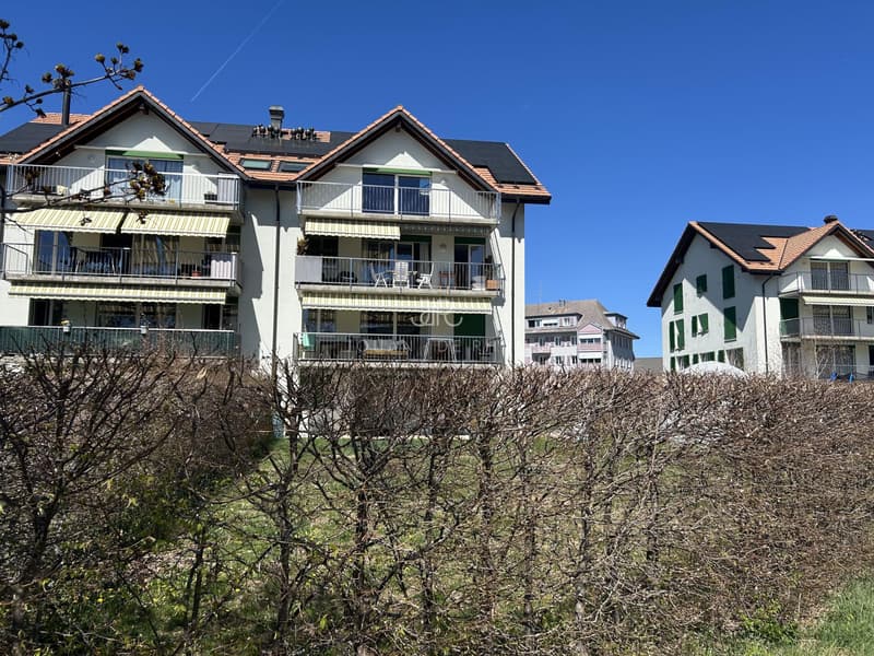 Bel appartement haut standing - Duplex en Attique (1)