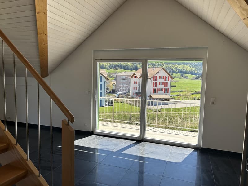 Bel appartement haut standing - Duplex en Attique (8)
