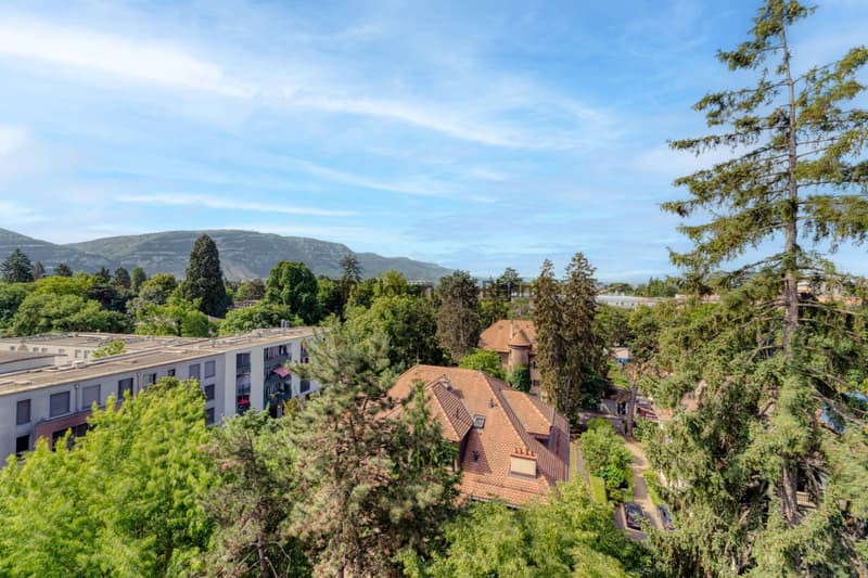 Cologny | Appartement de 4 pièces en attique avec vue imprenable (3)