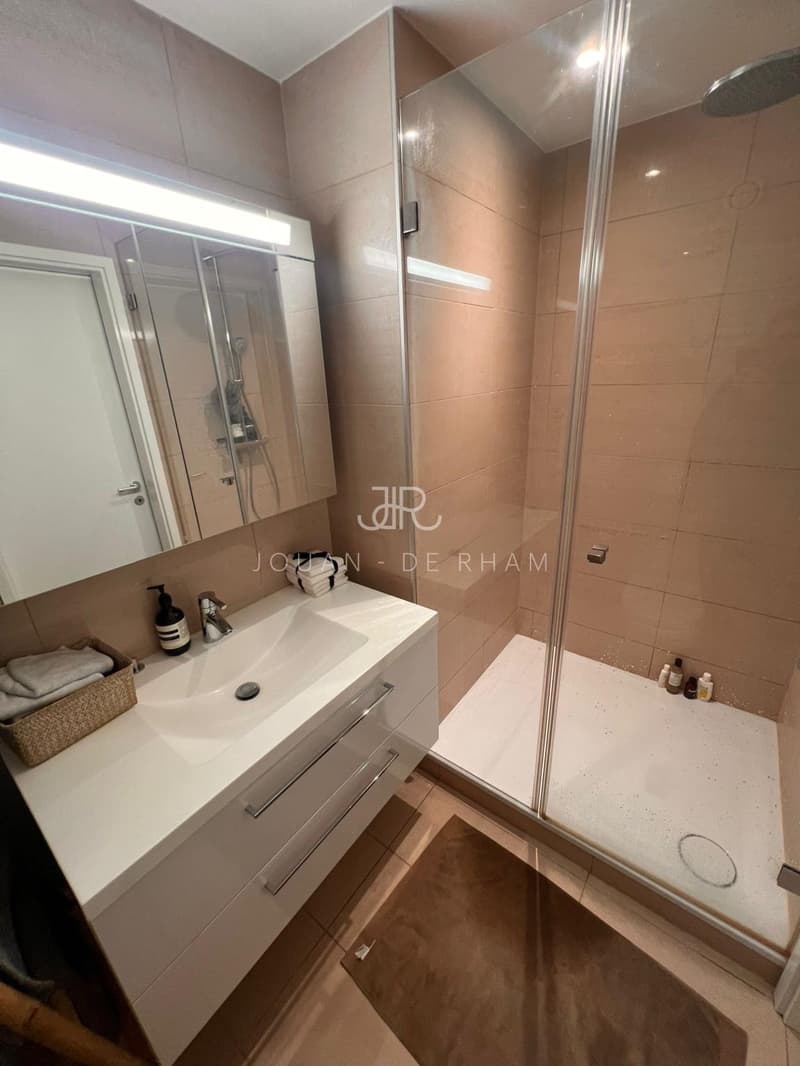 Cologny : magnifique appartement de 4 pièces en attique dans un parc de 3 hectares (5)