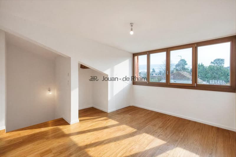 Puplinge - Magnifique maison villageoise rénovée (8)